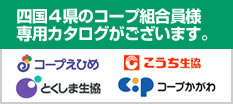 �l��4���R�[�v�g�����̊F�l